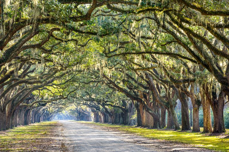 Forrest Gump – Savannah, Georgia 