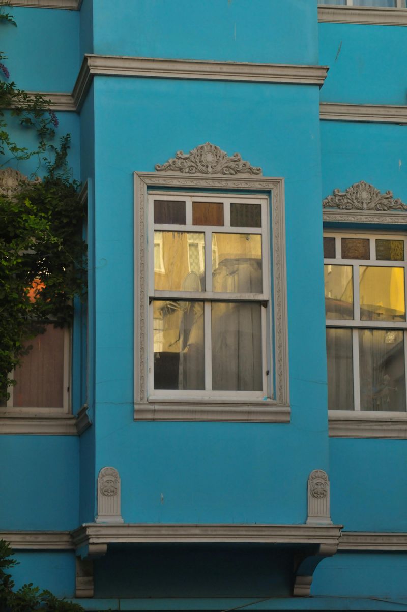 Framed Windows with Trim