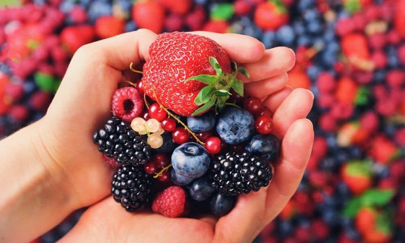 Fresh Berries