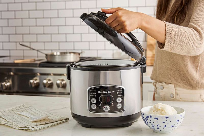 Hamilton Beach Programmable Rice Cooker