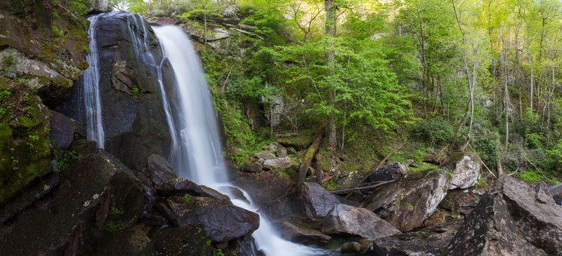 High Shoals Falls: The Woodland Symphony