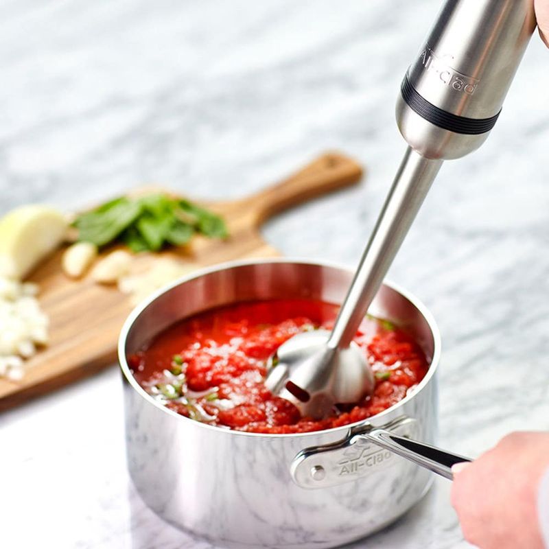 High-Speed Blender or Immersion Blender