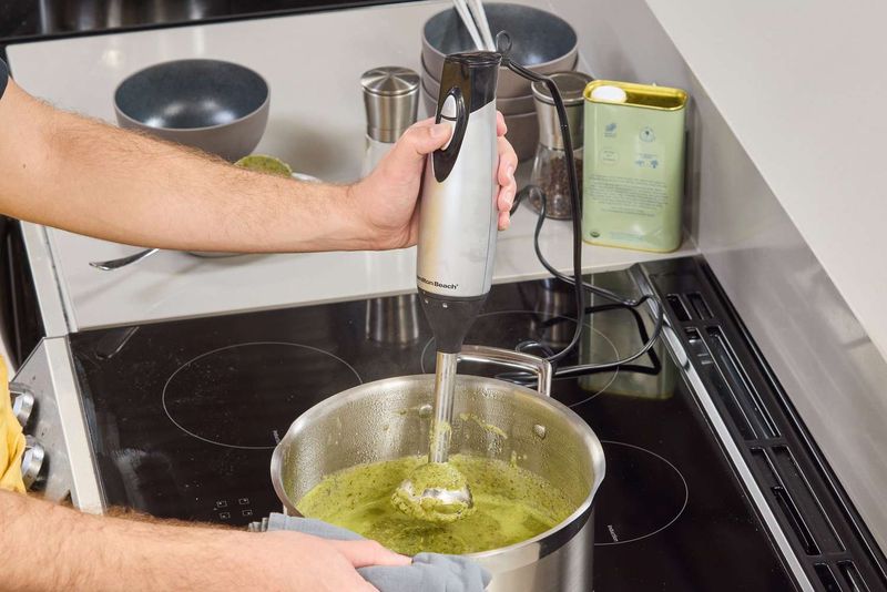 High-Speed or Immersion Blender