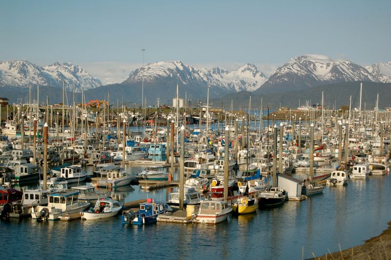 Homer: Alaska's Halibut Fishing Haven at the End of the Road