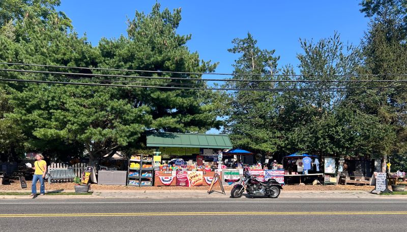Hot Diggity Dogs: Akron's Food Truck Phenomenon