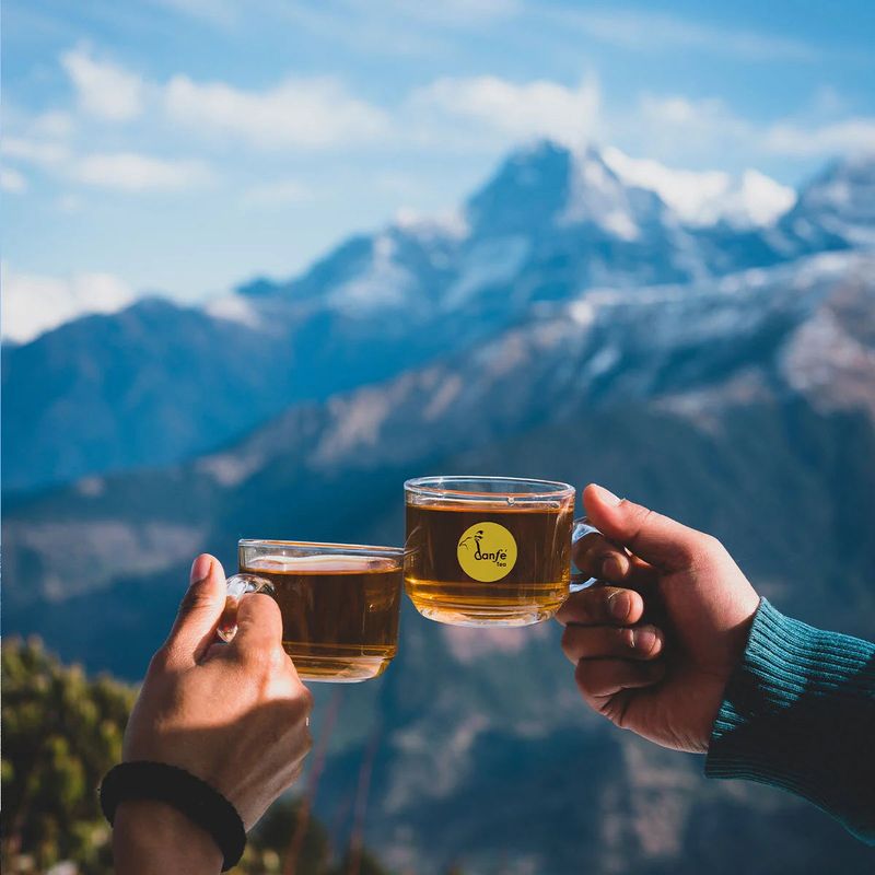 Hot & Spicy Himalayan Tea