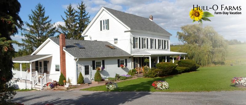 Hull-O Farms: New York's Time-Travel Adventure