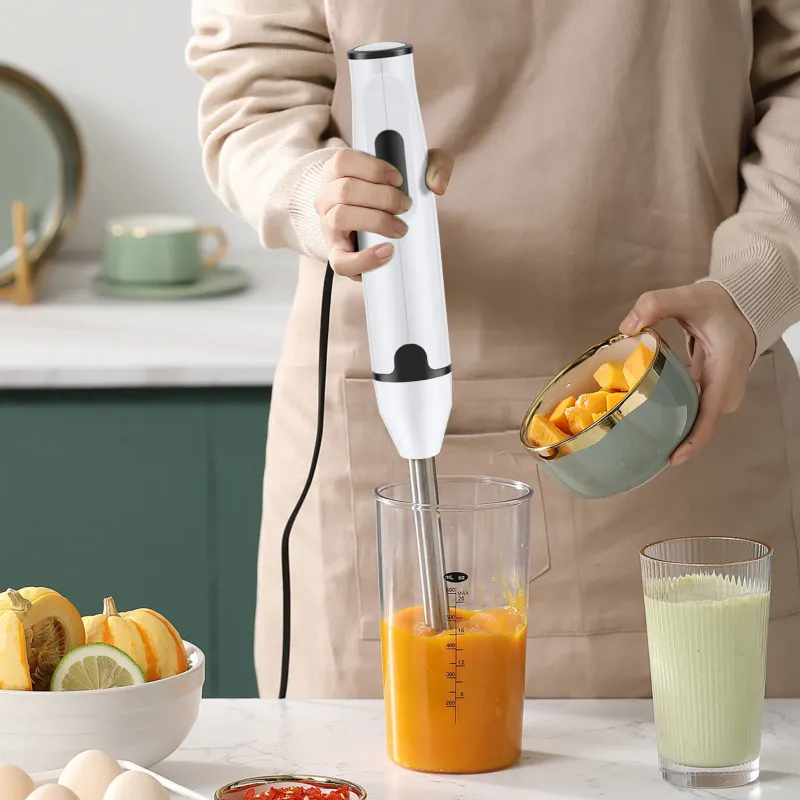 Immersion Blender