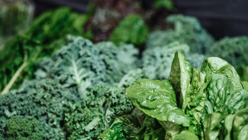 Leafy Greens: Nature's Anti-Inflammatory Medicine