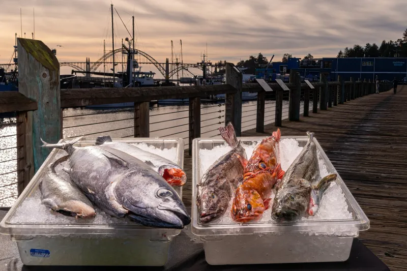 Local Ocean Seafoods – Newport, OR