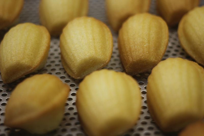 Madeleines – France