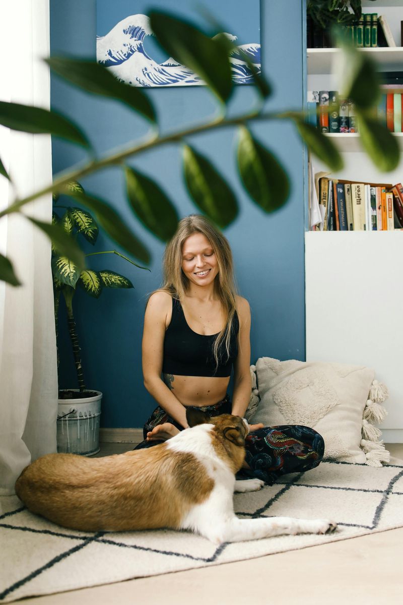 Meditation or Yoga Space