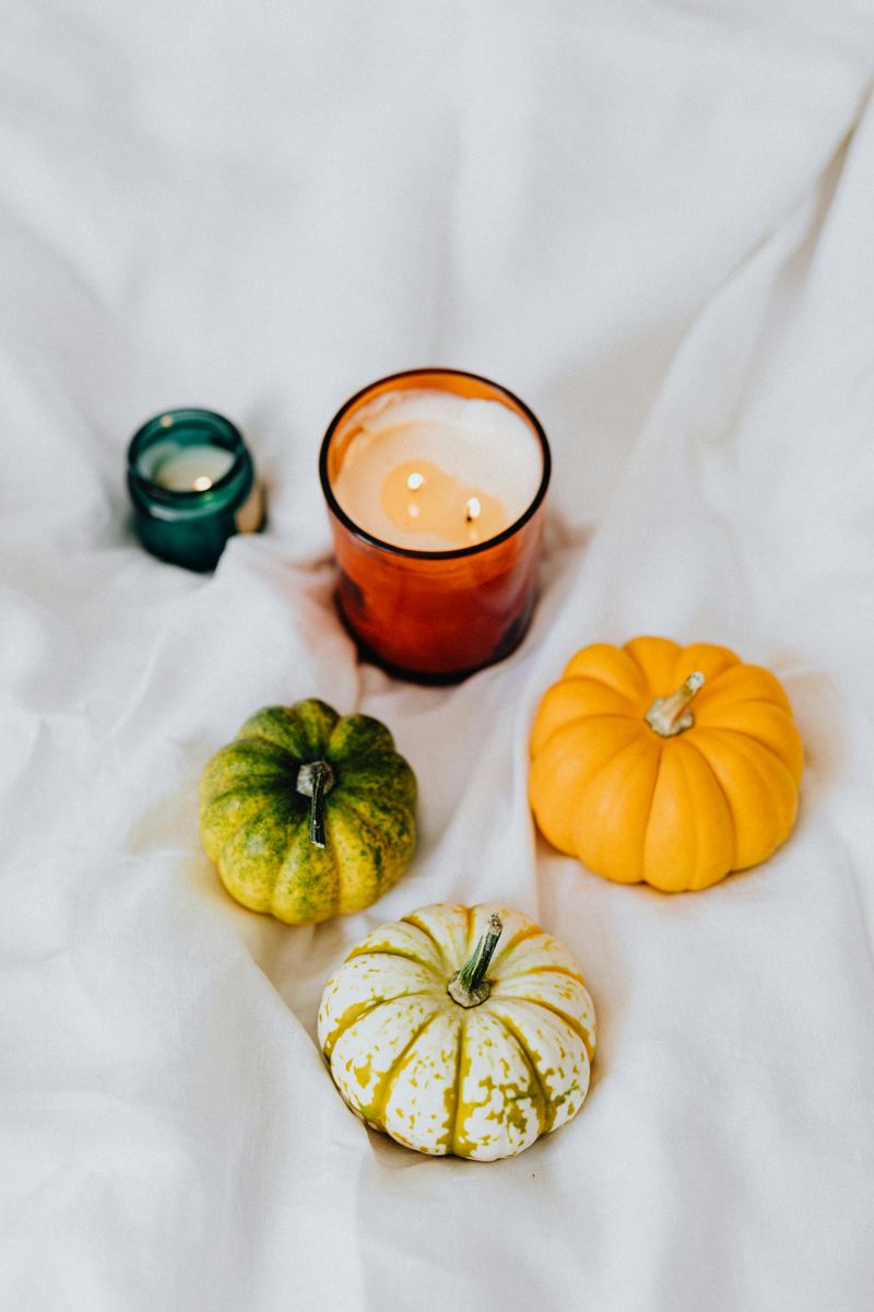 Mini Pumpkins & Gourds
