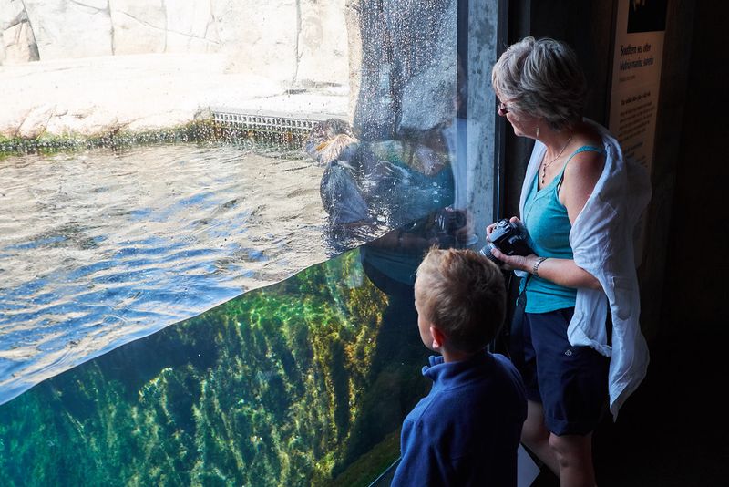 Monterey Bay's Ocean Explorers