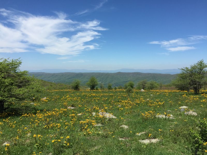 Mount Rogers