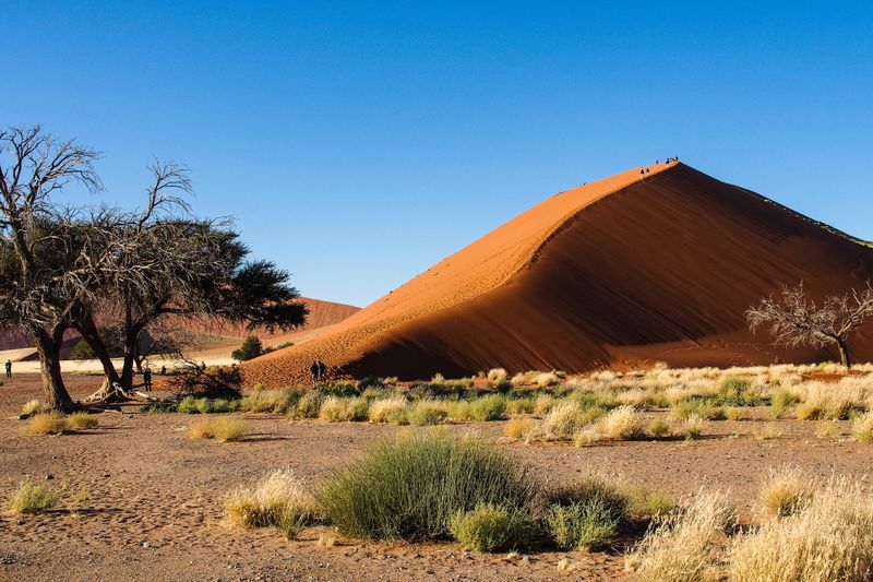 Namibia's Desert Dreamscapes