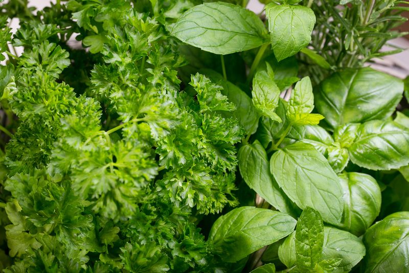 Natural Sweeteners Replace Refined Sugar