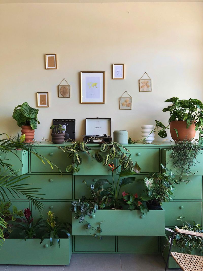 Nature-Inspired Green Revival