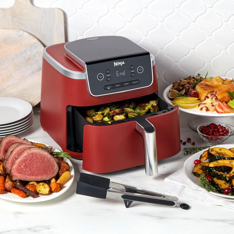 Ninja Air Fryer Pro 4-in-1