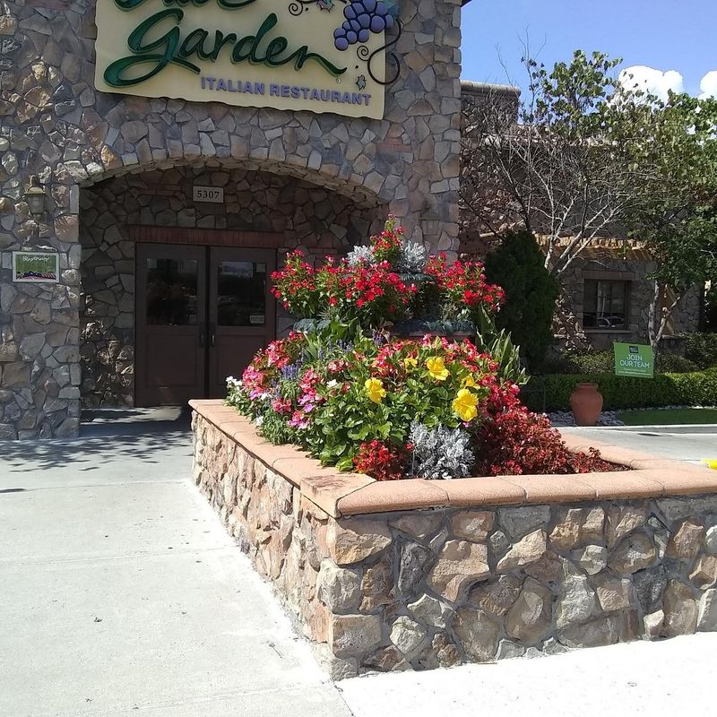 Olive Garden