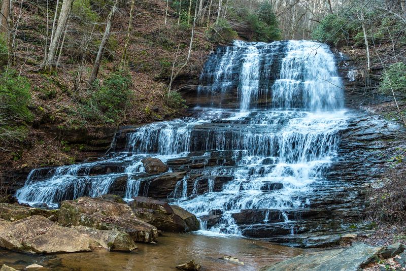 Pearson's Falls: The Botanical Paradise