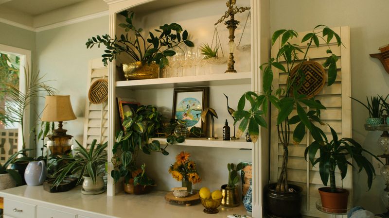 Plant Life Deficiency