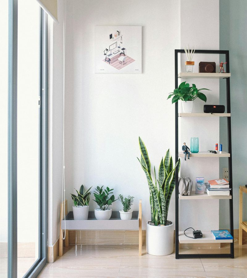 Plants That Breathe Life