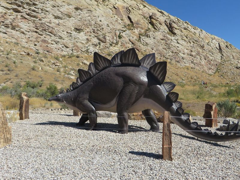 Prehistoric Playground at Dinosaur National Monument