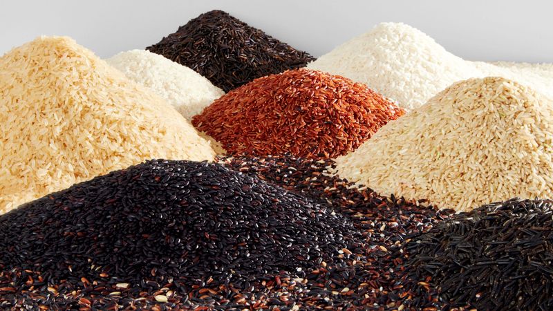 Rice and Grains
