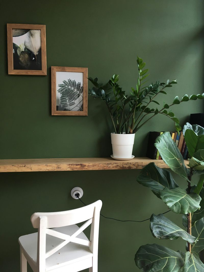 Rich Olive Green: Nature's Neutral