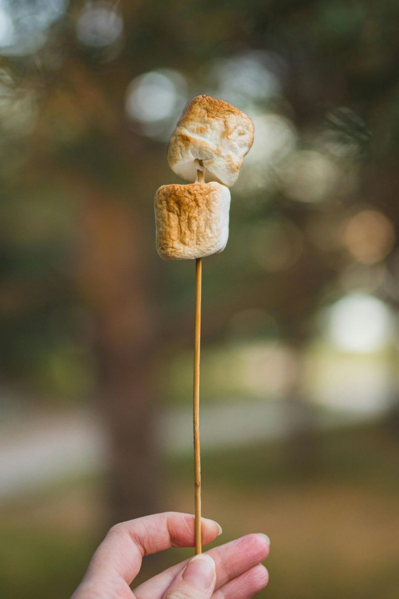 Roasted Marshmallows