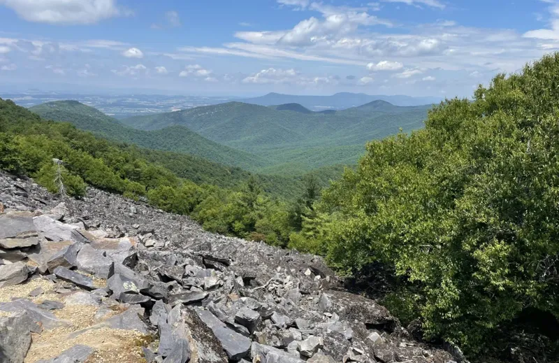 Rockytop