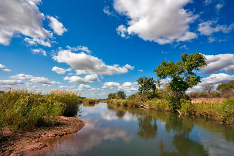 Safari in Kruger National Park, South Africa