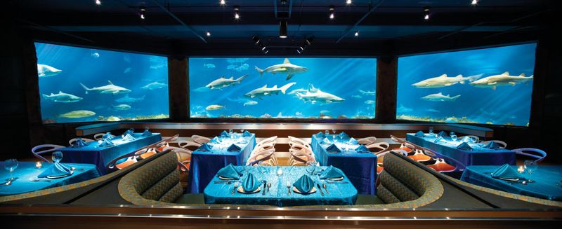 Shark's Underwater Grill: Dine With Ocean Predators