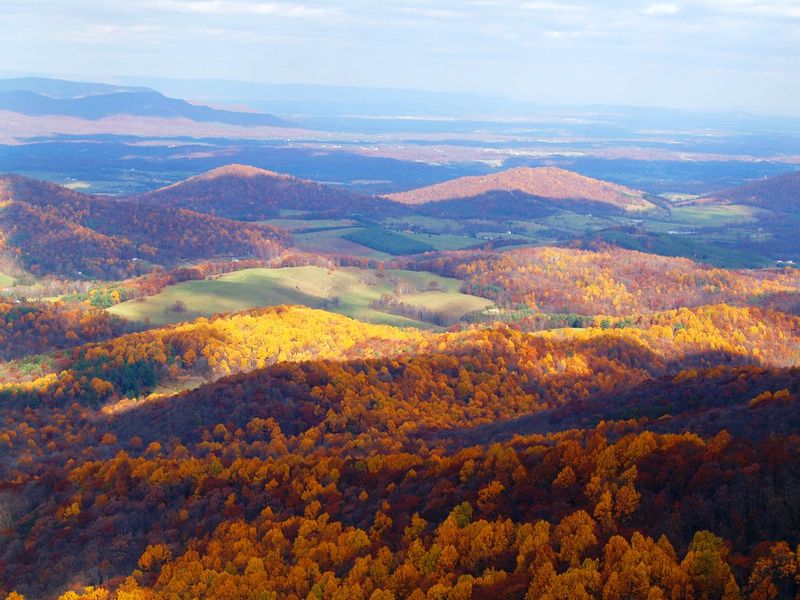Shenandoah Valley's Hidden Treasures