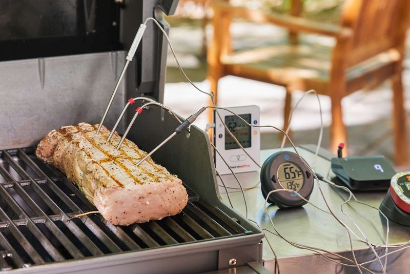 Smart Meat Thermometer (Bluetooth or WiFi)