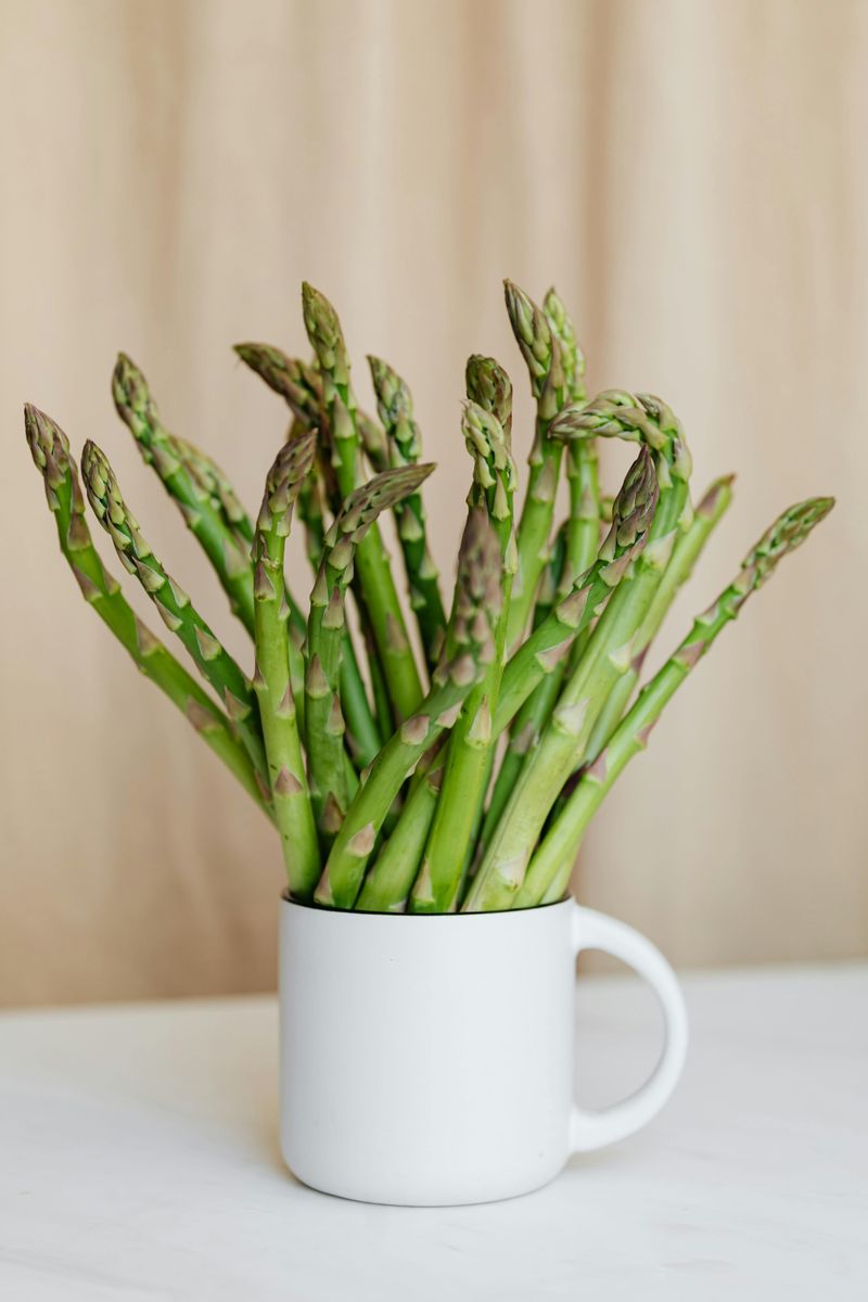 Spring's Delicate Spears: Asparagus