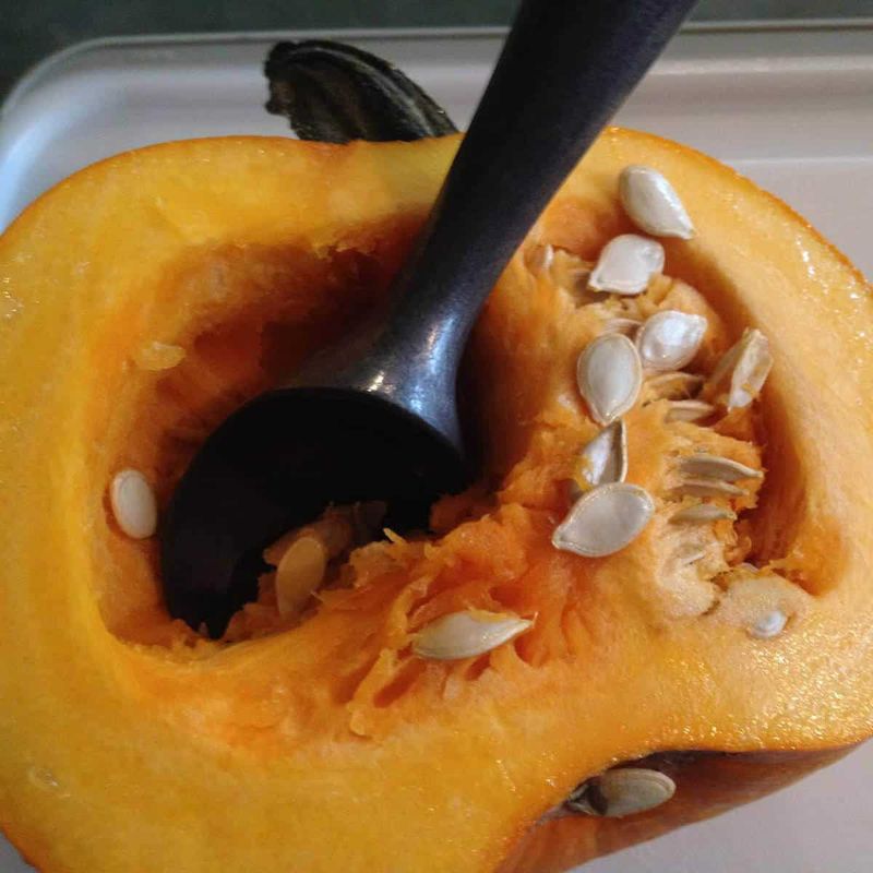Sturdy Scooper or Ice Cream Scoop