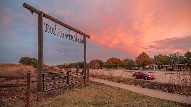 Suburban Sanctuary in Flower Mound, Texas