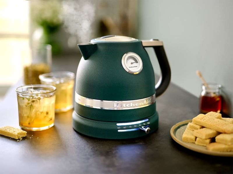Temperature-Controlled Kettle