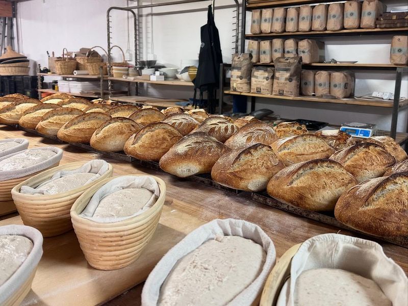 The Accidental Baker