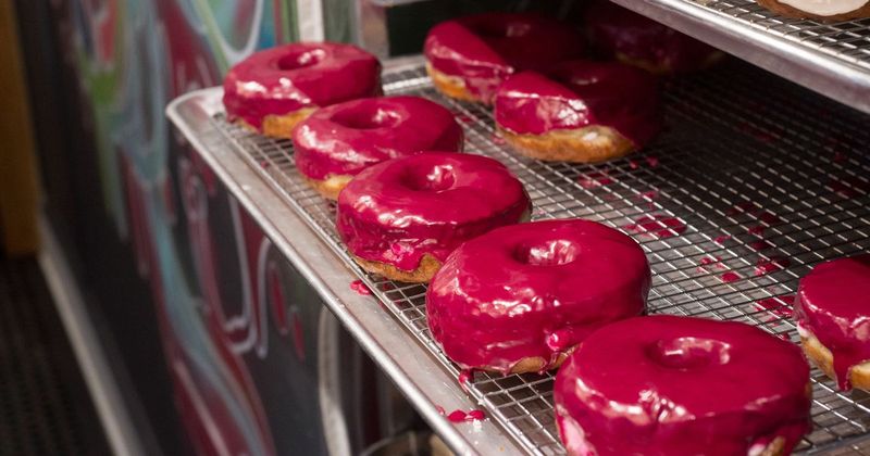 The Donut Project