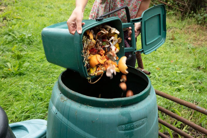 Tips for Reducing Food Waste