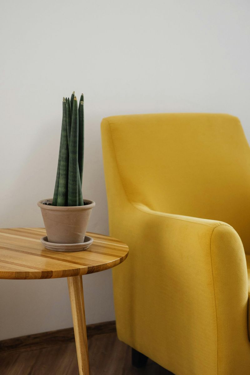 Use Neutral Bases with Pops of Color