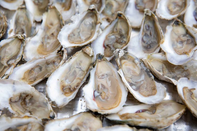 Virginia Oysters: Treasures from the Chesapeake