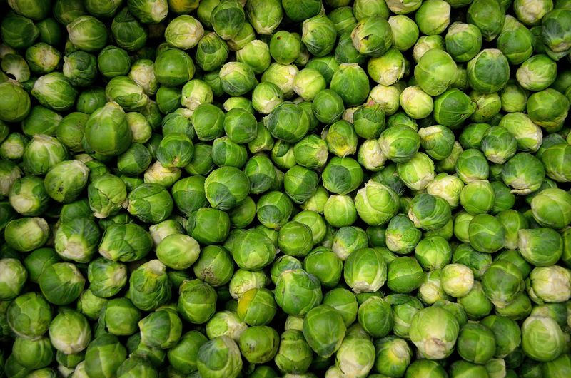 Winter's Miniature Cabbages: Brussels Sprouts