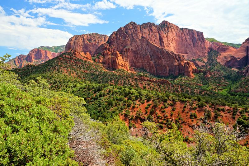 Zion National Park, USA
