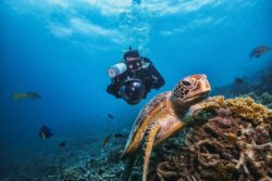 9 Once-in-a-Lifetime Adventures for Families Who Love the Outdoors