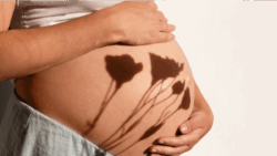 12 Celebrities Who Glowed the Brightest During Their Pregnancies