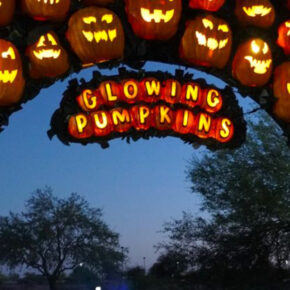 9 Family-Friendly Halloween Events in Arizona With Epic Light Displays